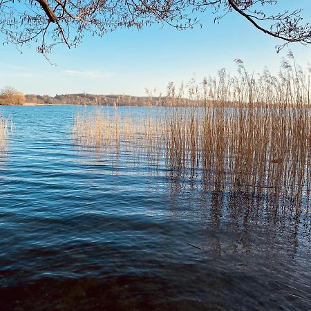 Landhaus Am See App. 2 Ponitz am See Buitenkant foto